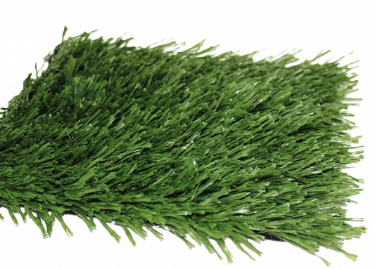 Sports and Field Grasses 